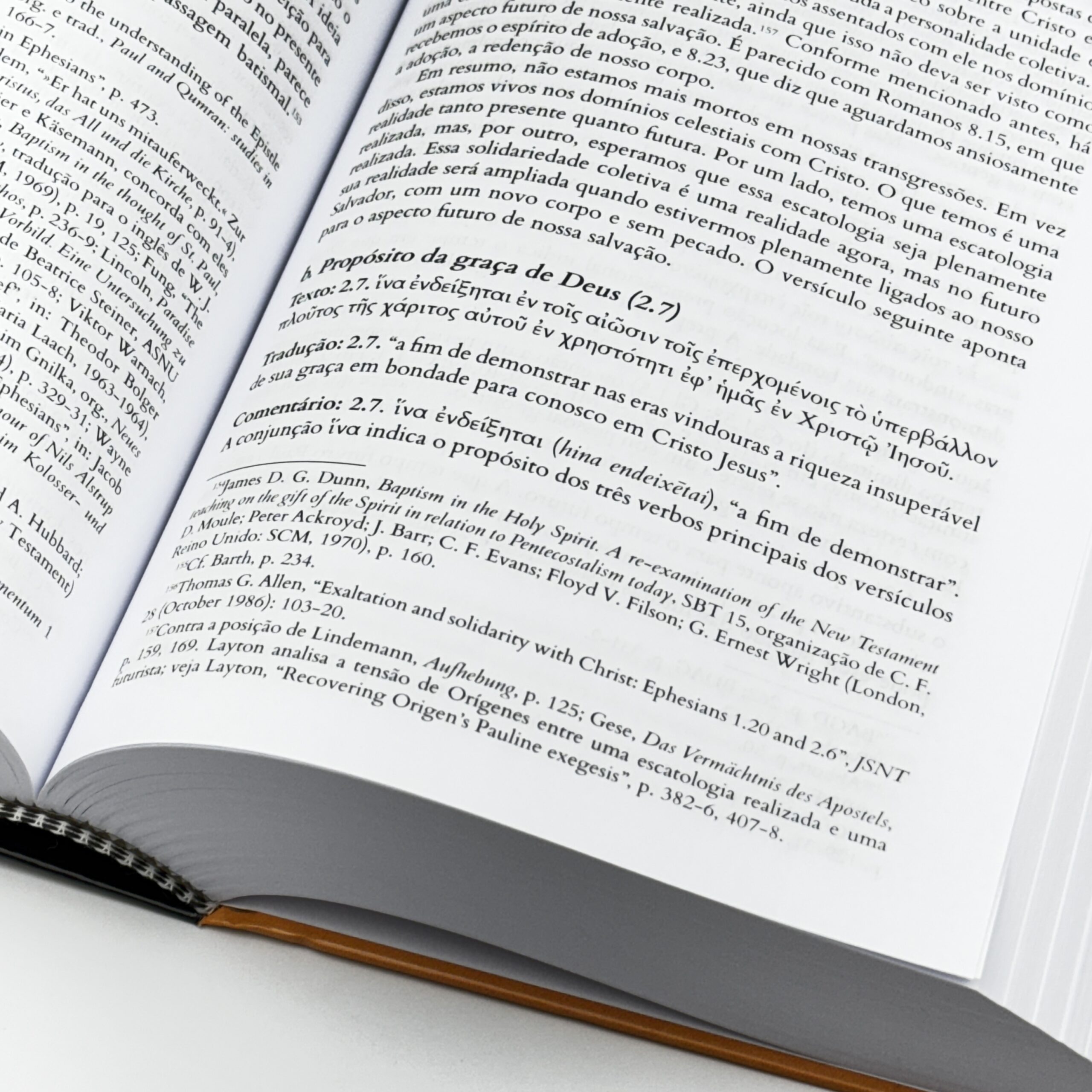 Efésios Comentário Exegético Harold W. Hoehner - Image 3