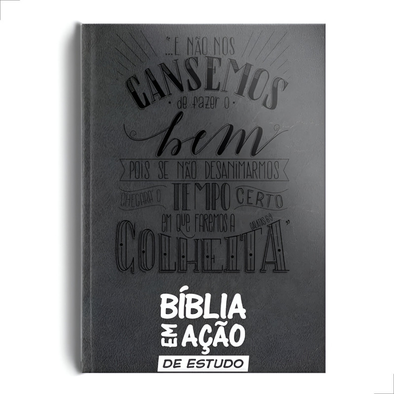 Bíblia Em Ação De Estudo Edição Especial Capa Luxo Cinza