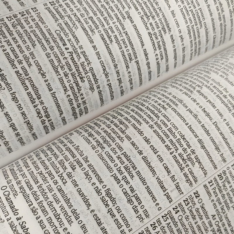 Bíblia Sagrada | ARC Slim | Capa Dura Rei dos Reis | Harpa e Corinhos - Image 2