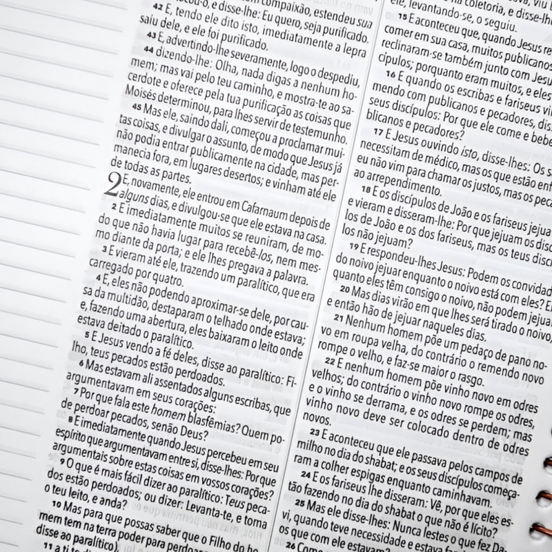 Bíblia BKJ Anote Capa Dura Espiral Leão Adonai - Image 2