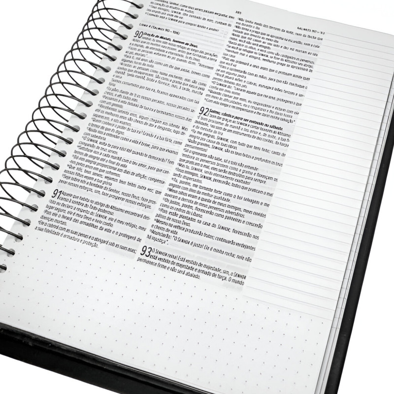 Bíblia Anote Slim Espiral Capa Dura NVT Leão Fire - Image 2