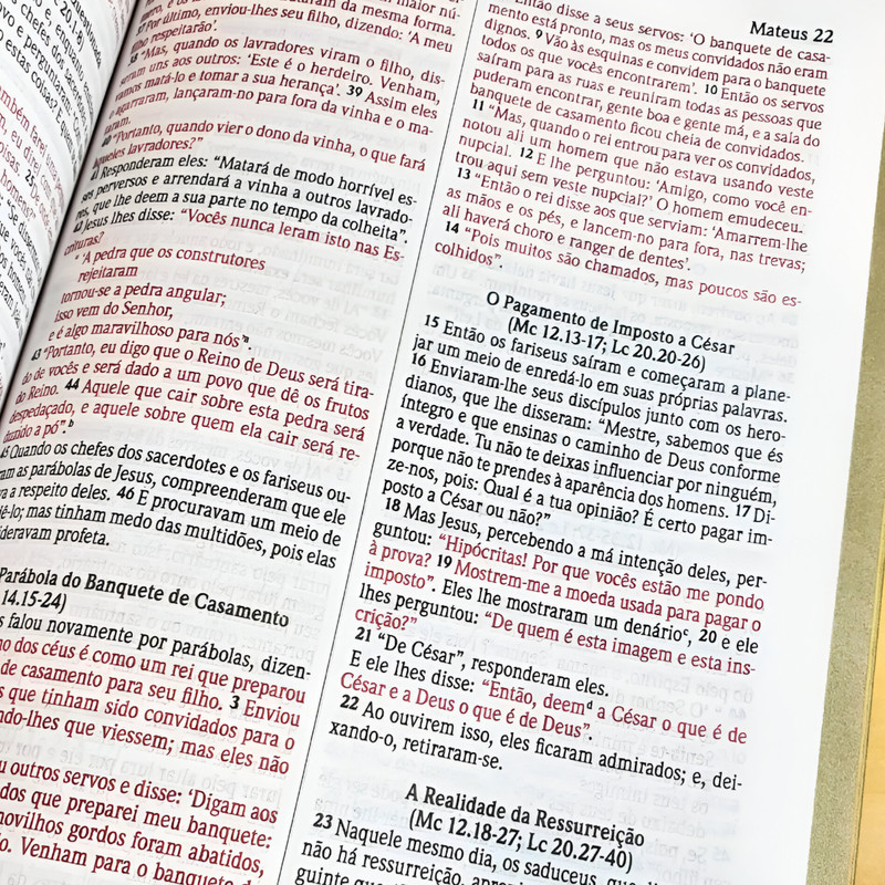 Bíblia Sagrada | NVI | Lettering Capa Dura Verde | Tradução Contemporânea - Image 2