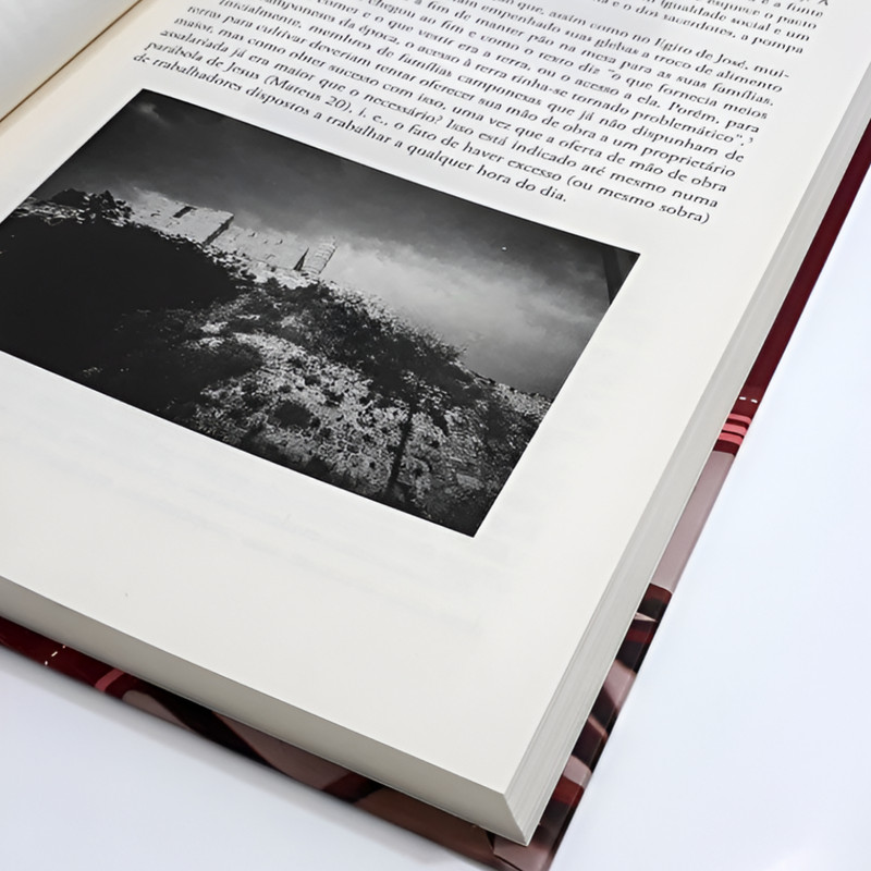 Livro Panorama Bíblico do Novo Testamento - Image 2