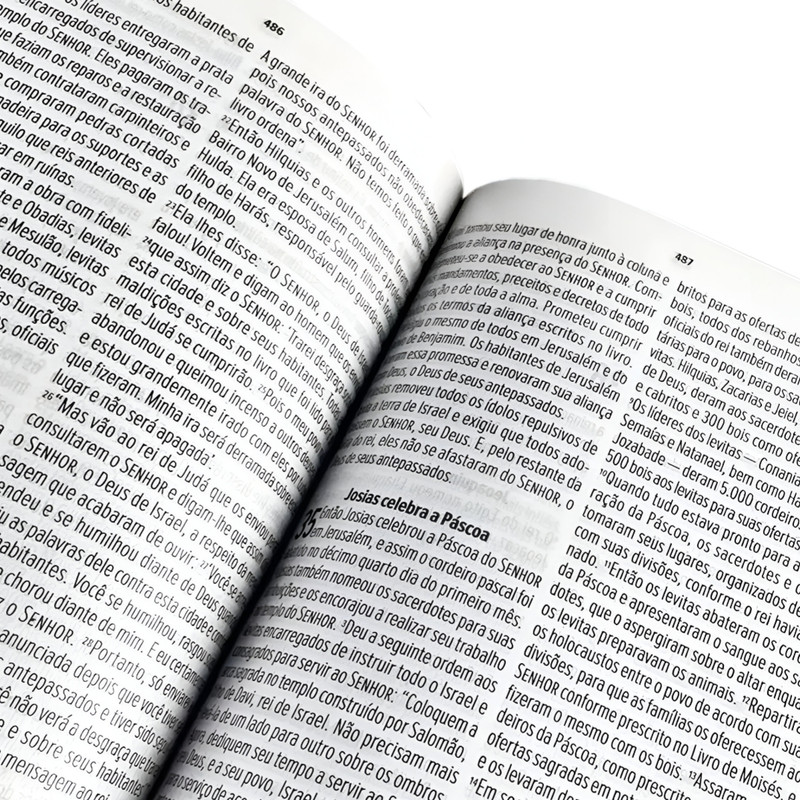 Bíblia NVT Letra Grande Luxo Fendi - Image 2