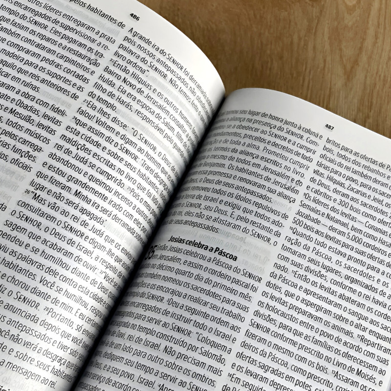 Bíblia NVT Letra Grande Luxo Duotone - Image 2