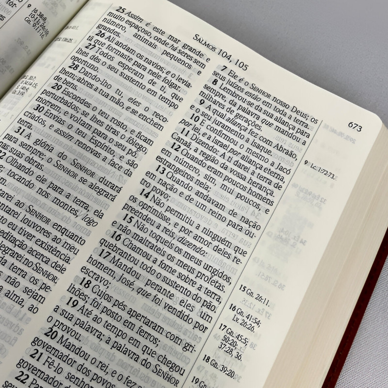 Bíblia Acf Rcm | Letra Gigante | Chocolate Havana - Image 2