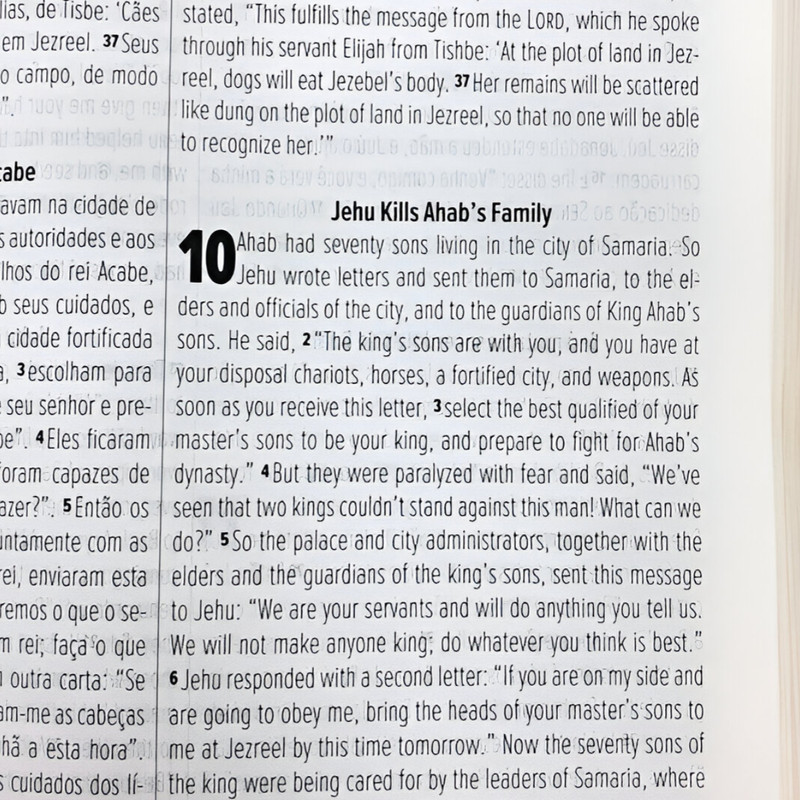 Bíblia NVT Bilingue Luxo Avelã - Image 2