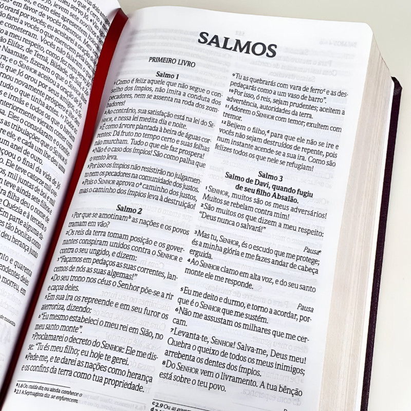 Bíblia NVI Letra Grande Luxo Vinho - Image 2