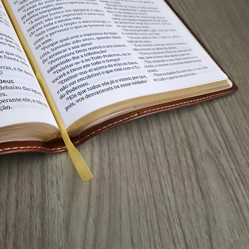 Bíblia ACF | Leitura Perfeita | Capa Luxo | Marrom - Image 2