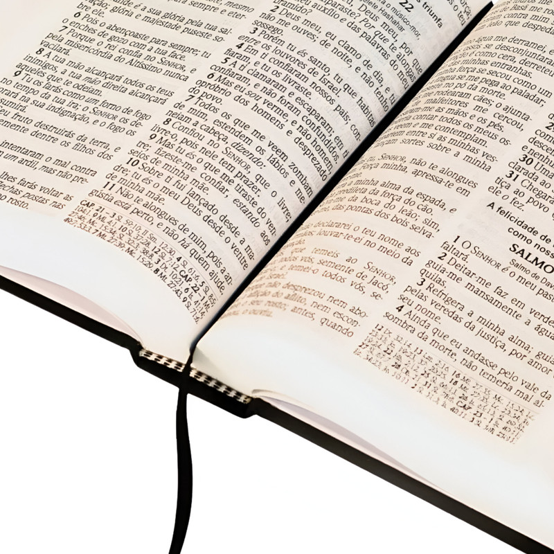 Bíblia Sagrada ACF | Letra Gigante | Referências com Mapa | Preta - Image 2