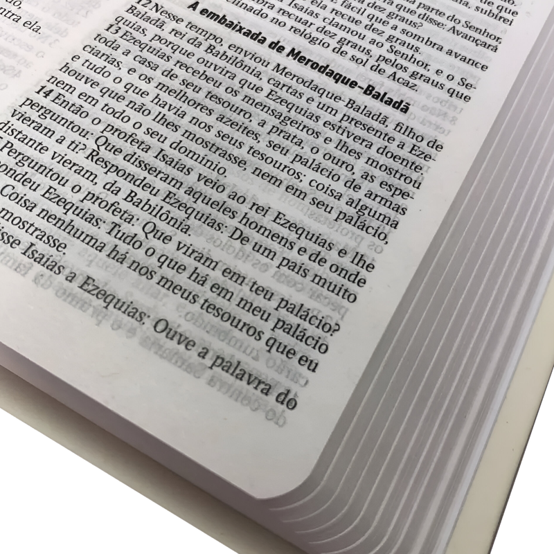 Bíblia Sagrada Folhagem Capa Semiluxo Aec - Image 2