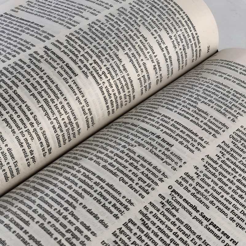 Bíblia NVI Evangelize Jornada Com Cristo - Image 2