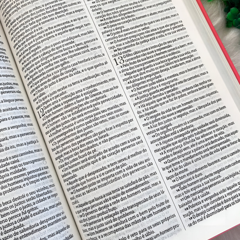 Bíblia King James 1611 Fiel Slim Rosa Perolado - Image 2