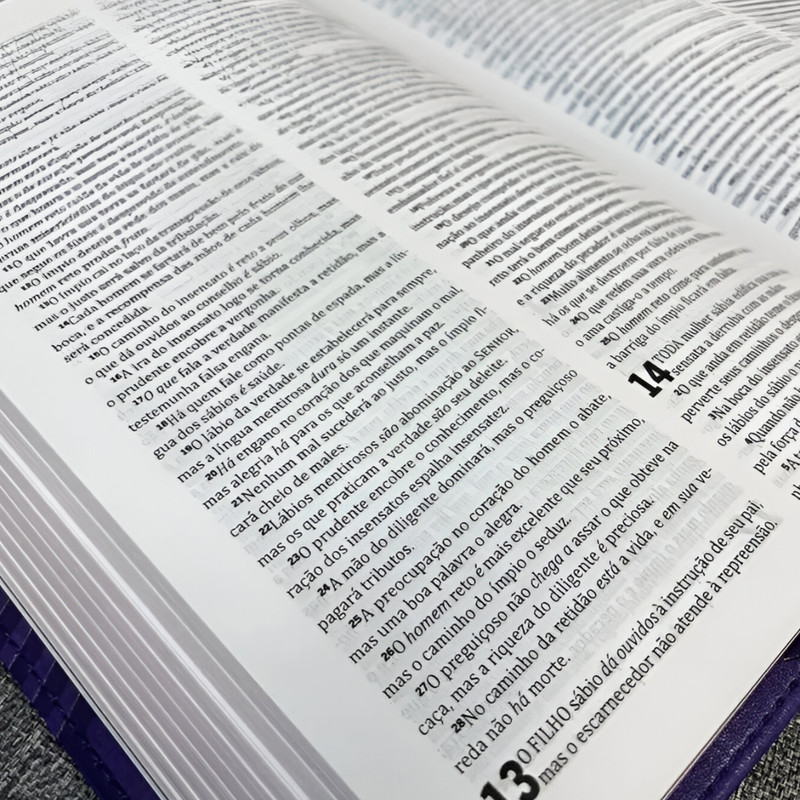 Bíblia King James Ultrafina Slim Lilás - Image 2