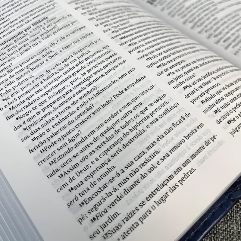 Bíblia King James Ultrafina Slim Azul - Image 2