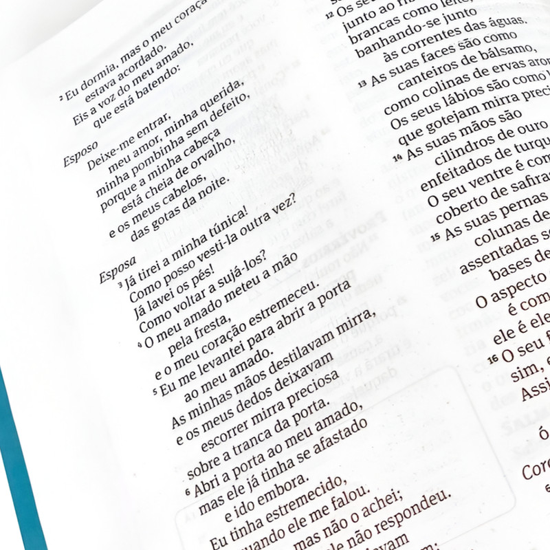 Bíblia 365 NAA Capa Verde a Palavra De Deus Em Leituras Diárias - Image 2