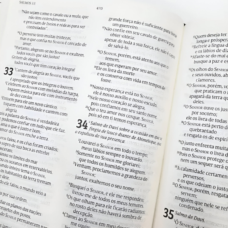 Bíblia Sagrada Lion Color Nvt Capa Dura Leão Colorido - Image 2