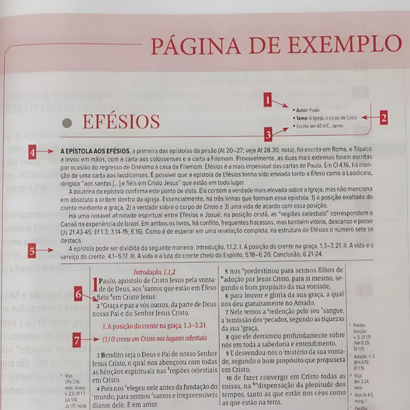 Bíblia De Estudo Scofield Aec Capa Luxo Vinho - Image 2