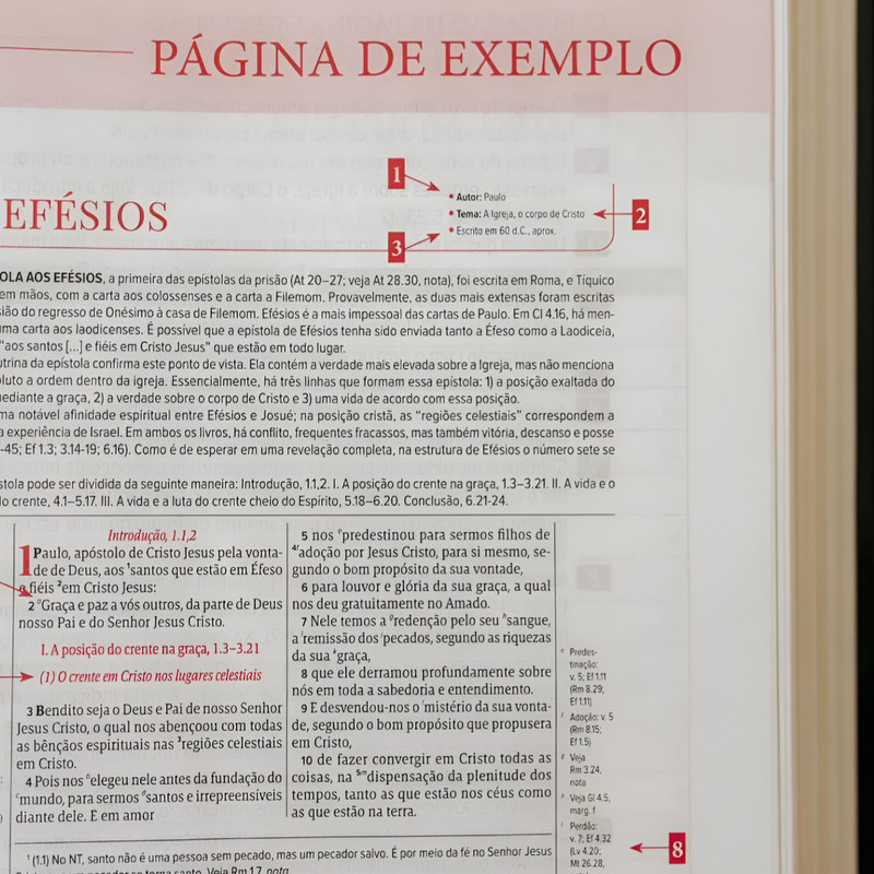 Bíblia De Estudo Scofield Aec Capa Luxo Marrom - Image 2