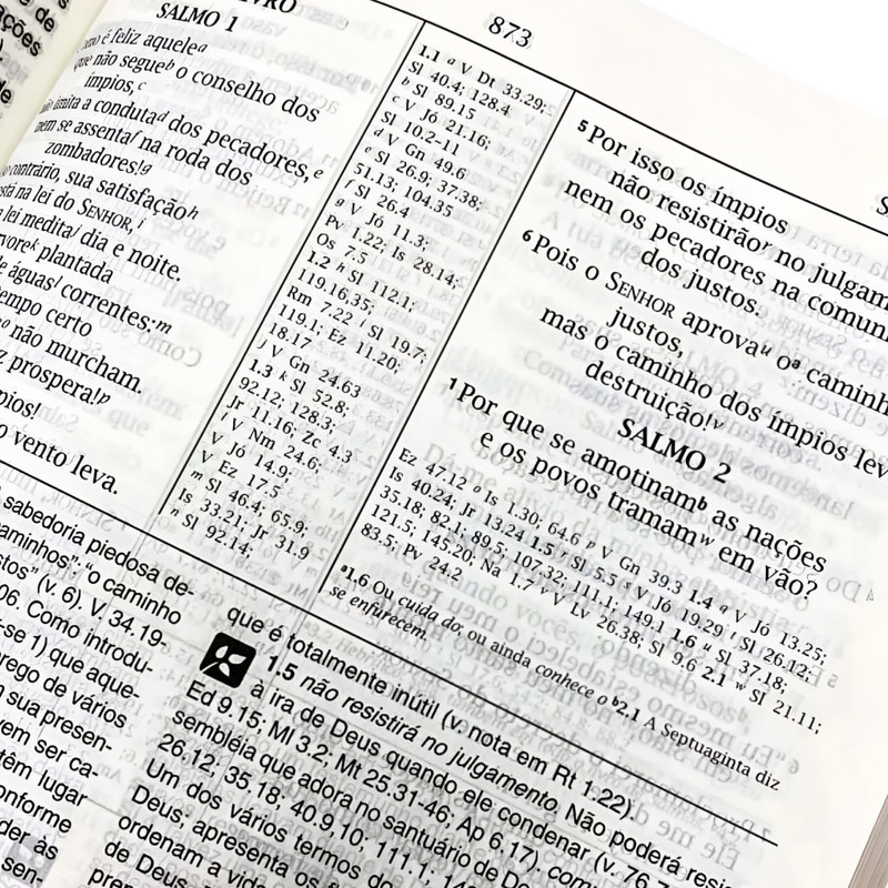 Biblia de Estudo NVI Rosa - Image 2