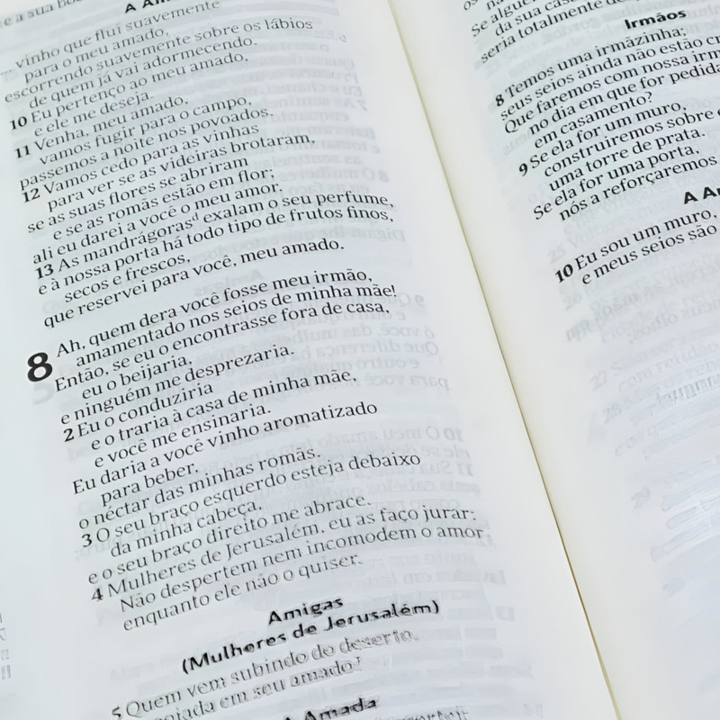 Bíblia Sagrada Nvi Semi-luxo Espírito Santo - Image 2