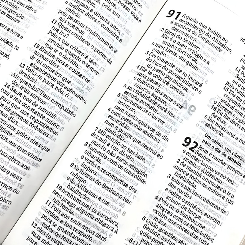 Bíblia Aec Letra Gigante Verde Estampada - Image 2