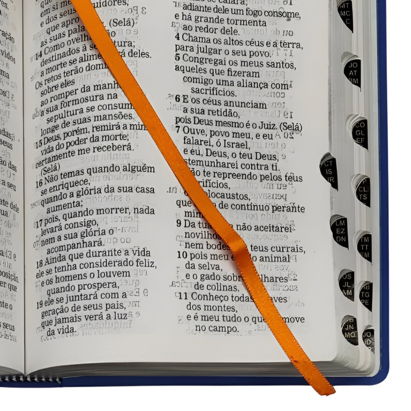 Bíblia Sagrada Leão Azul Aec Letra Grande - Image 2
