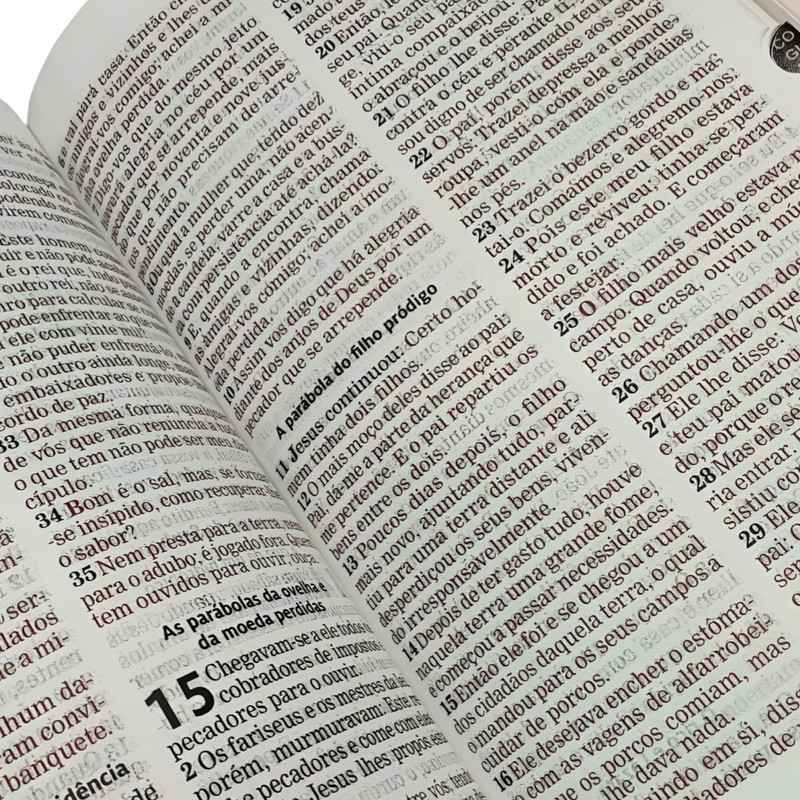 Bíblia Sagrada Ancora Aec Letra Grande Preta - Image 2