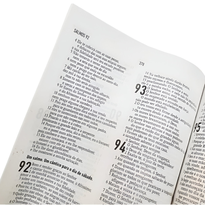 Bíblia Sagrada Àguia Capa Semiluxo Aec - Image 2