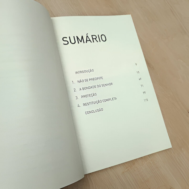 Recomece | A Jornada de Rute | Mac Anderson - Image 2