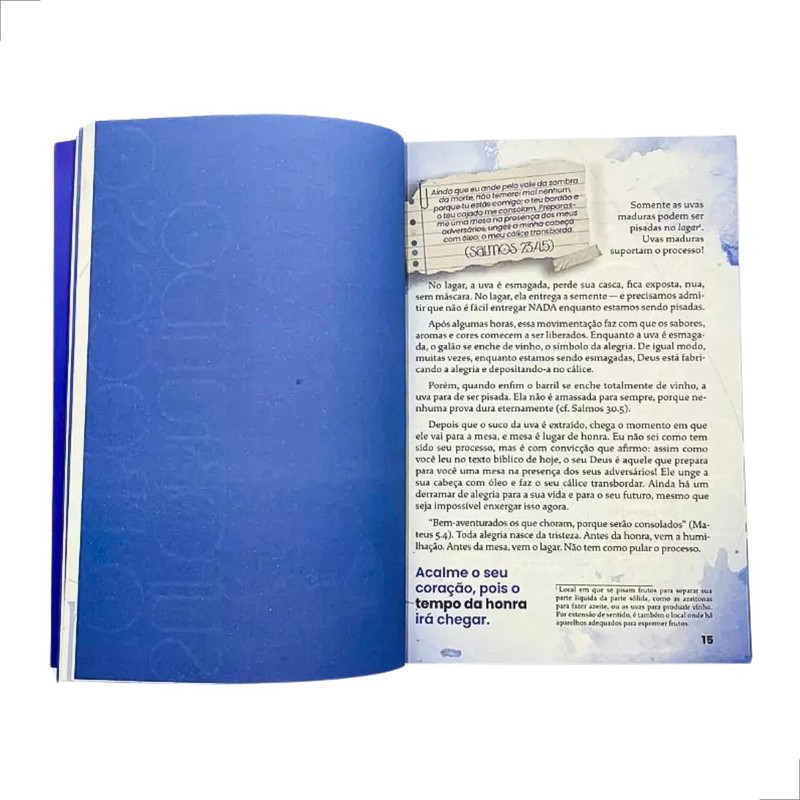 Livro Devocional Gotas de Consolo Eyshila - Image 2