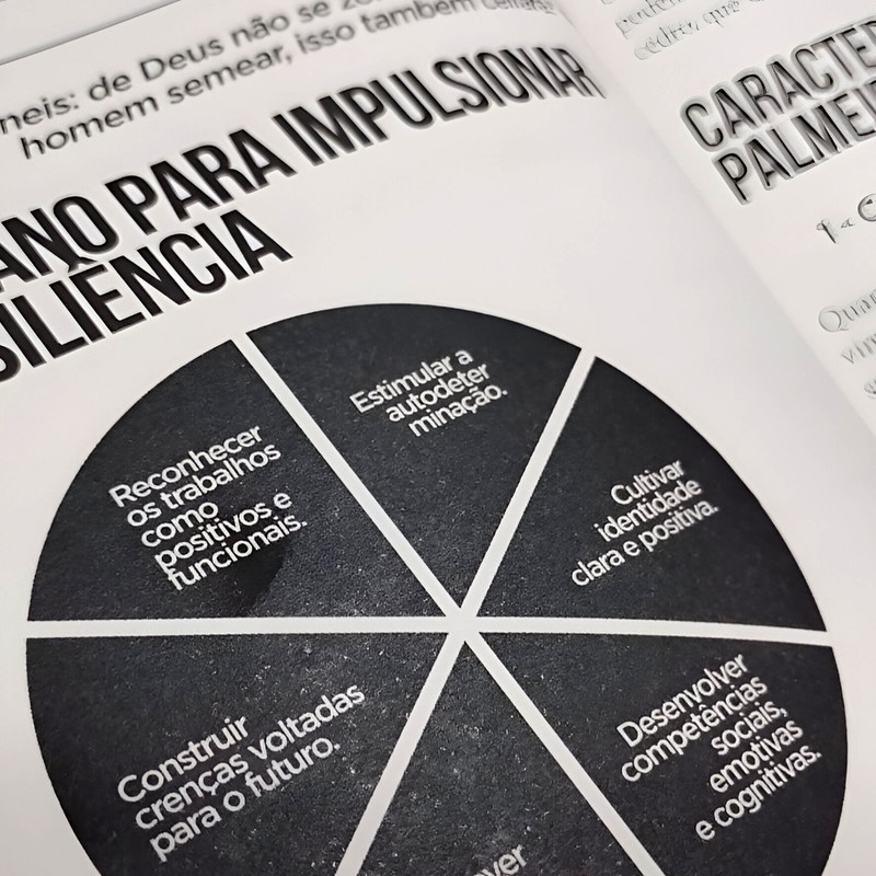 Livro Resiliência Cleo Holanda - Image 2