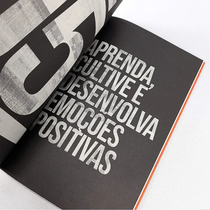 Livro Otimismo Cleo Holanda - Image 2