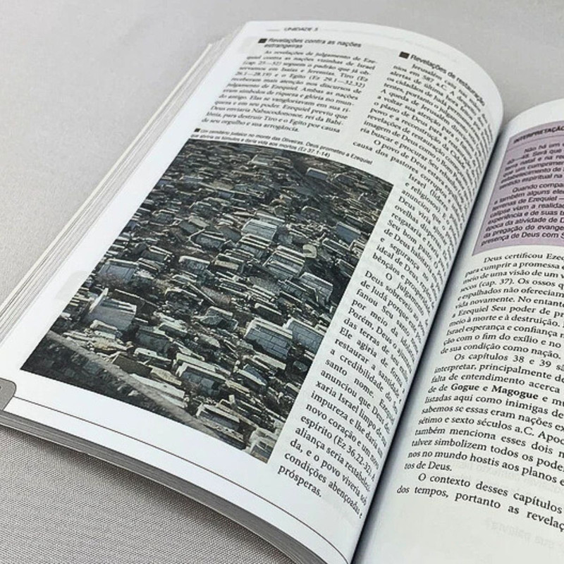 Livro Descobrindo a Bíblia Alex Varughese - Image 2