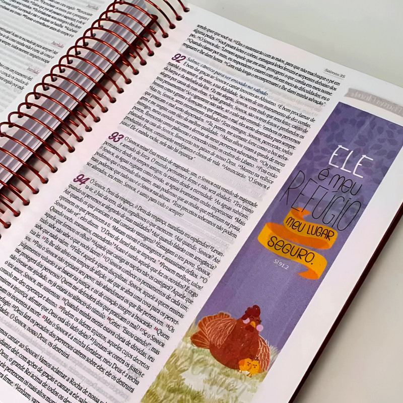 Bíblia Ilustada NVT Anote Mulher Forte Granilite - Image 2