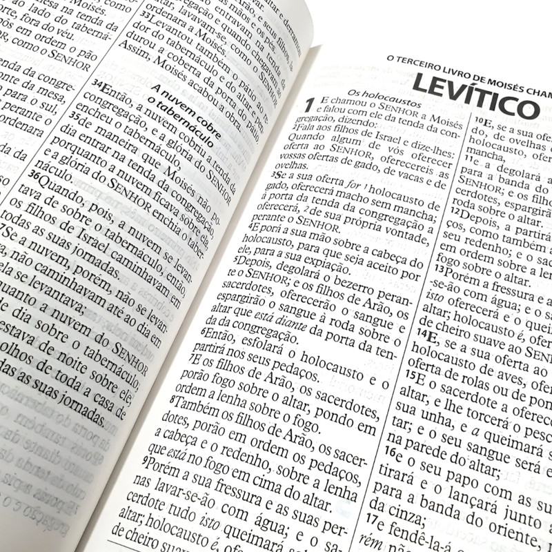 Bíblia Da Mulher Vitoriosa Letra Gigante Arc Rosa Claro - Image 2