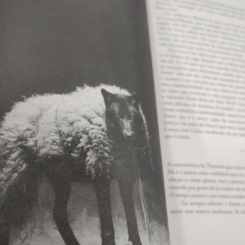 Contra o Sistema | Thamires Garcia | JesusCopy - Image 2