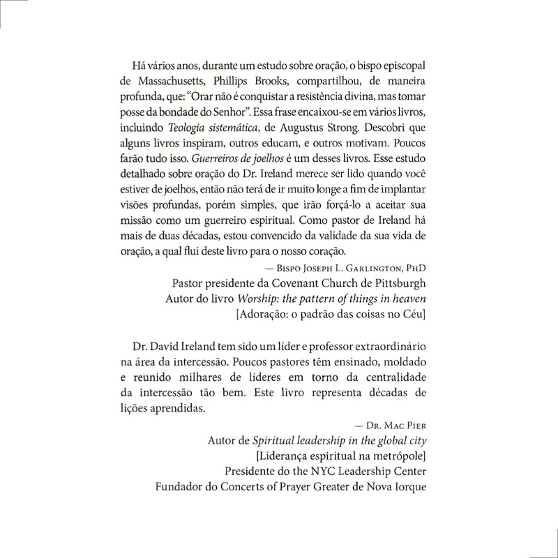 Guerreiros De Joelhos David D. Ireland - Image 2