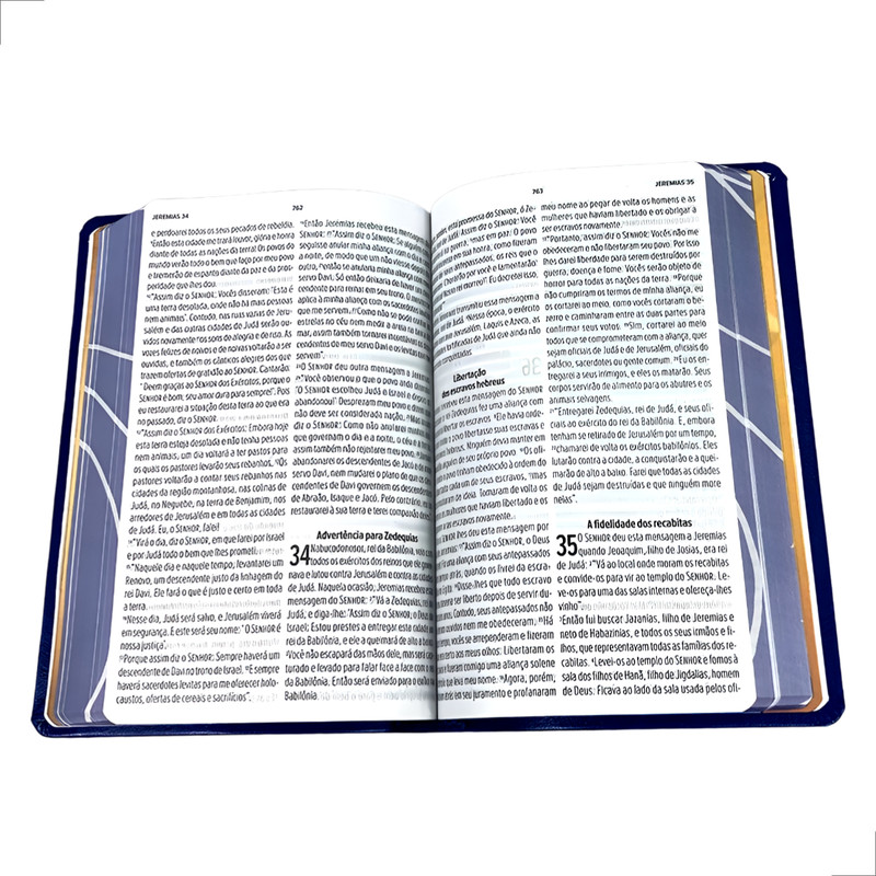 Bíblia NVT Letra Grande Luxo Azul Royal - Image 3