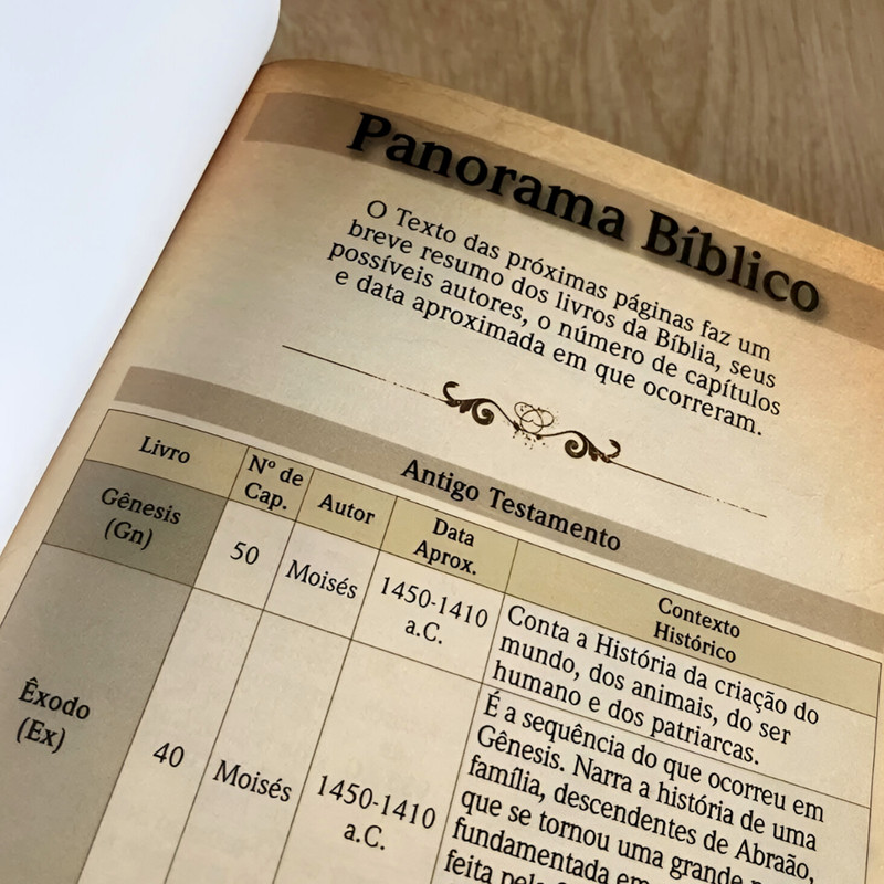 Bíblia NVT Letra Grande Luxo Duotone - Image 3