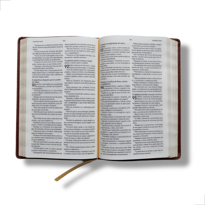 Bíblia ACF | Leitura Perfeita | Capa Luxo | Marrom - Image 3