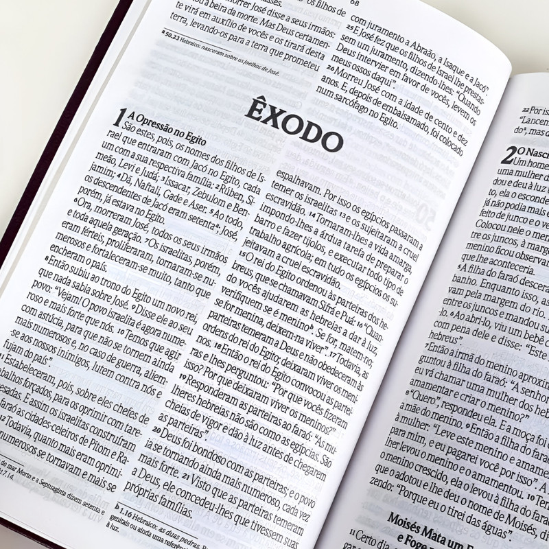 Bíblia NVI Letra Grande Luxo Vinho - Image 3