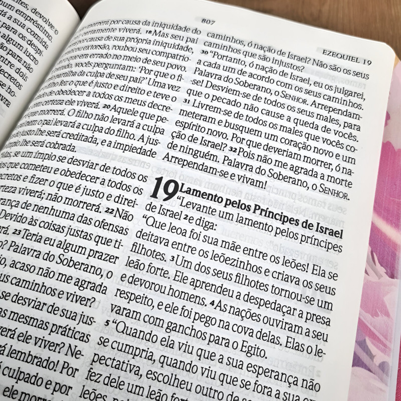 Bíblia NVI Extra Gigante Luxo Especial Rosa - Image 3