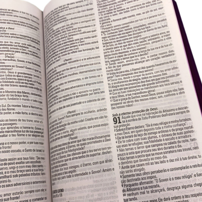Bíblia Sagrada King James Capa Dura Margarida - Image 3