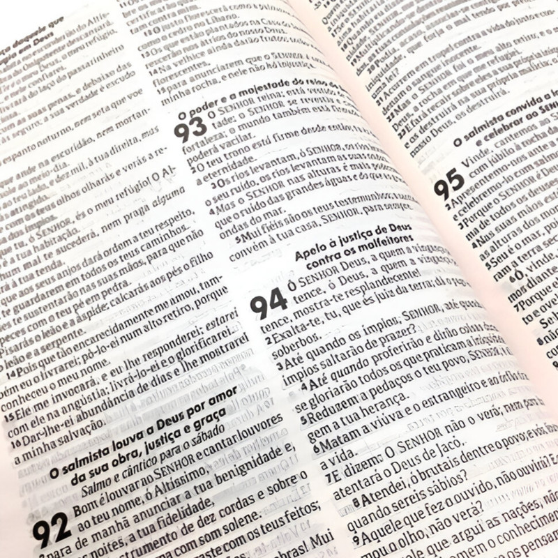 Bíblia Sagrada | ARC | Capa Dura | Leão de Judá - Image 3