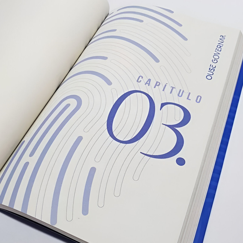 Ouse Governar | Dirce Carvalho | Você Pode Ir Além - Image 3