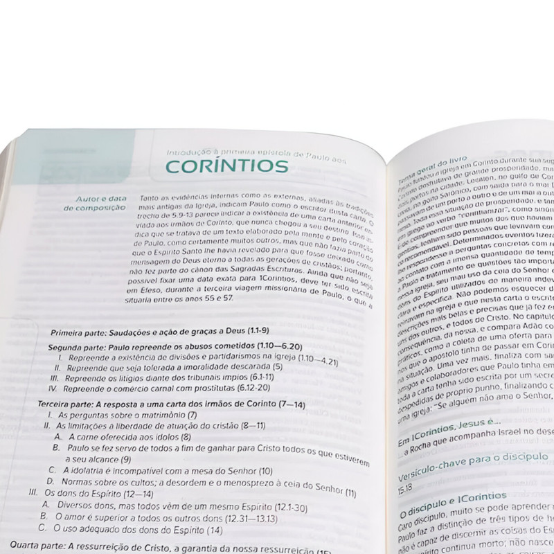 Bíblia do Discípulo NVI Capa Luxo Marrom - Image 3