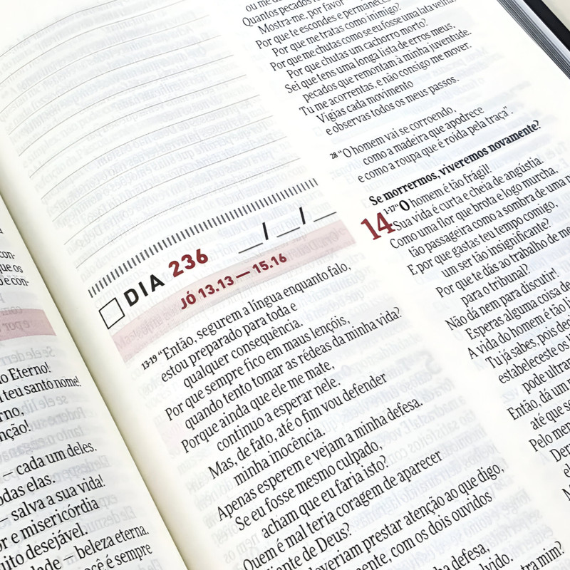 Bíblia Devocional Todo Dia Espaço Para Anotações Retiro - Image 3