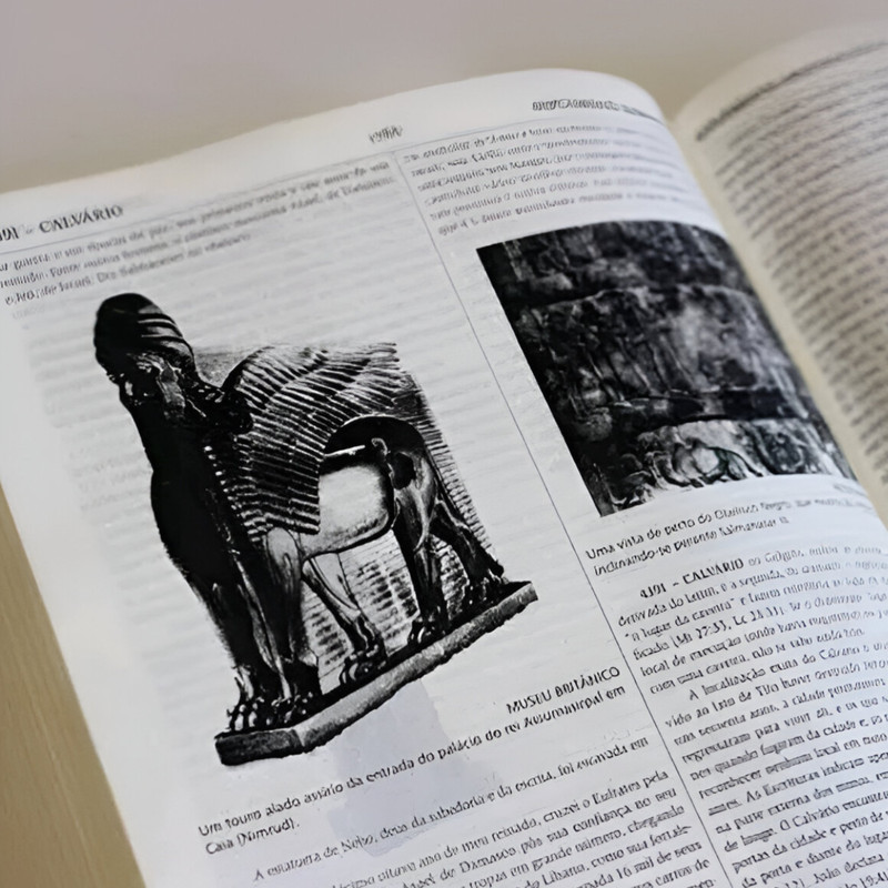 Bíblia de Estudo Thompson Letra Grande Capa Luxo Preto - Image 3