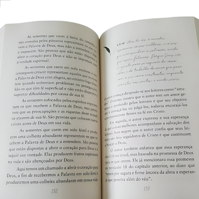 Carta aos Hebreus | Comentários Expositivos | Benhour Lopes - Image 3